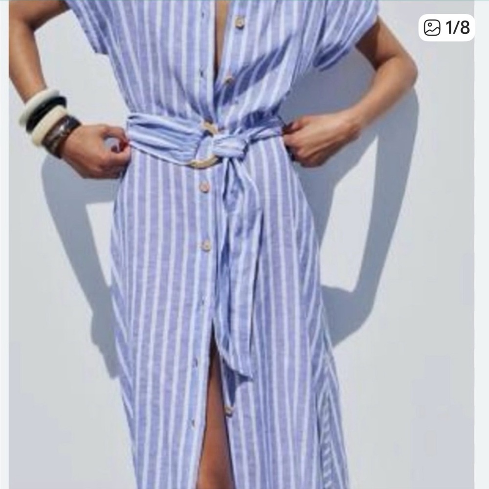 Zara Blue and White Striped Button-Front Shirt Dress